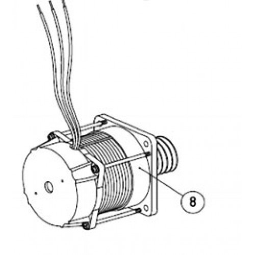 Электродвигатель с червяком в сборе (арт. ASW.4008)